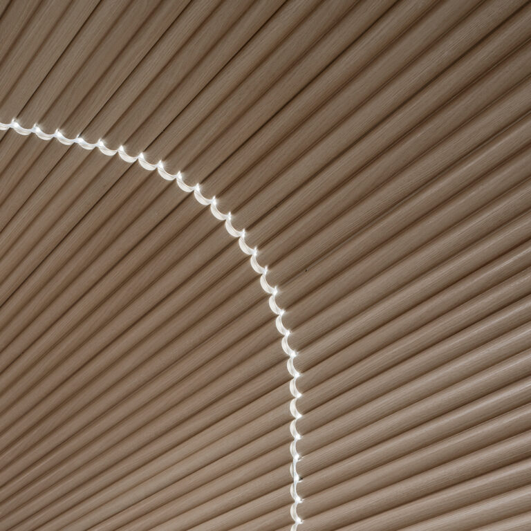 Centre for Eye Research Australia